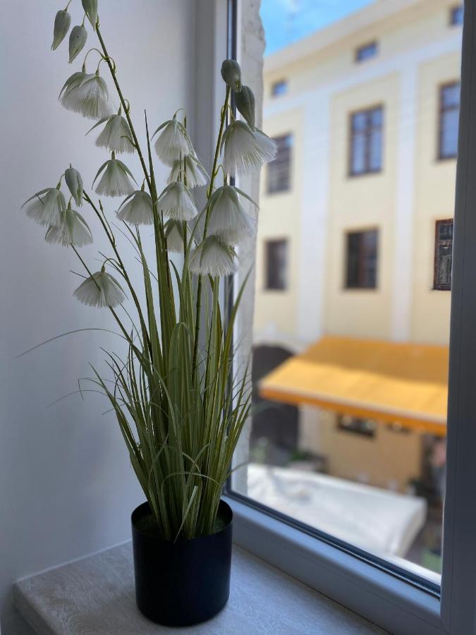 Homelike Apartment Lviv Exterior photo